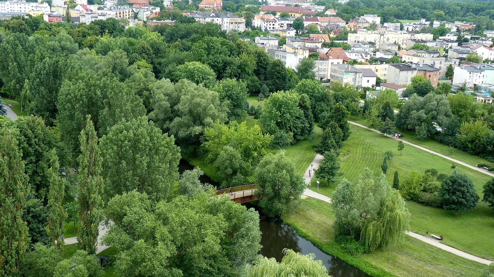 Korony drzew, parkowe ścieżki i zabudowa Brodnicy widziane z wieży zamkowej