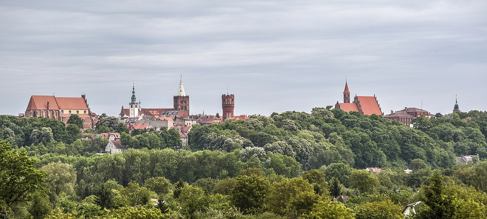 Panorama Starego Miasta w Chełmnie widziana z mostu na Wiśle, wieże kościołów ponad zielonym zboczem