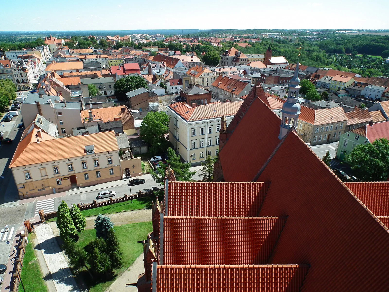 Zabudowa Chełmna widziana z wieży farnej, stromy czerwony dach na pierwszym planie i kamienice w głębi