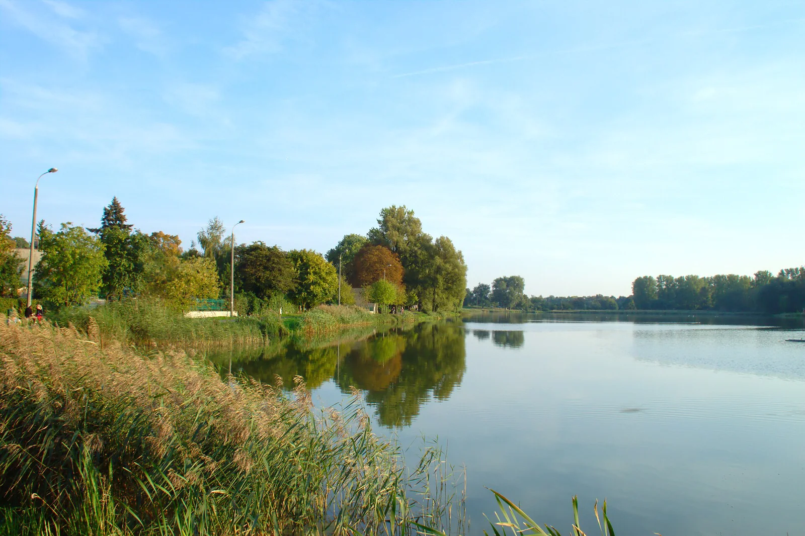 Zielony wschodni brzeg Jeziora Jelonek w Gnieźnie i spokojna tafla wody w ciepłym popołudniowym świetle