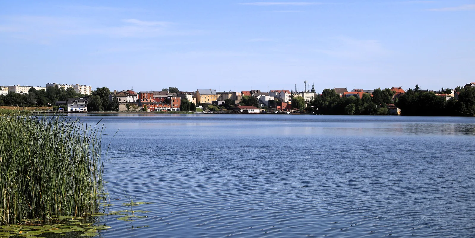 Zabudowa Sępólna Krajeńskiego po drugiej stronie jeziora, błękitna woda i trzciny na pierwszym planie