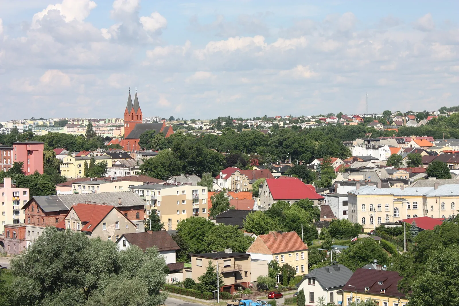 Dachy, kamienice i zielone drzewa Świecia oglądane z wieży zamkowej