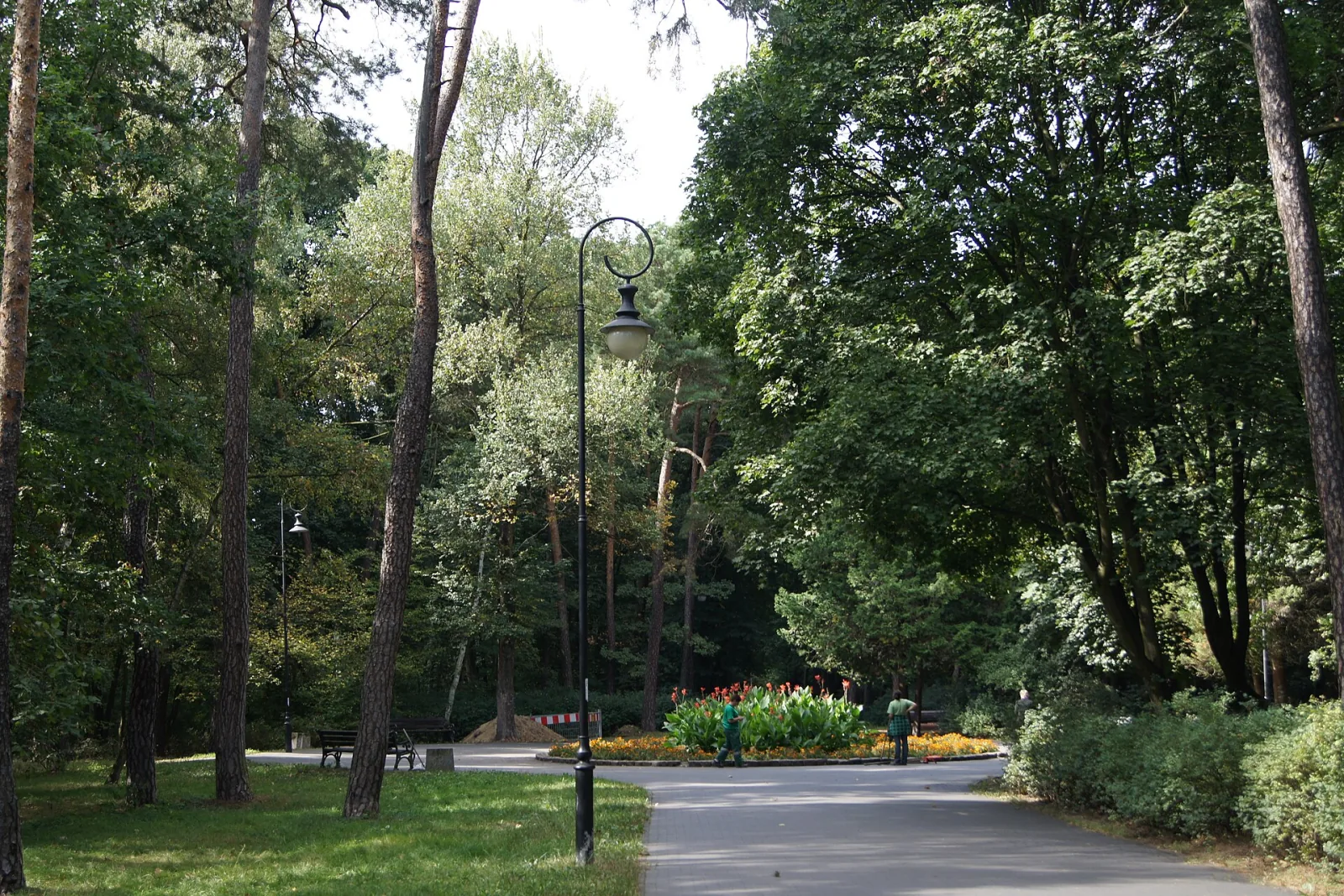 Zielona aleja, wysokie drzewa i kwietnik w Parku Miejskim na Bydgoskim Przedmieściu w Toruniu