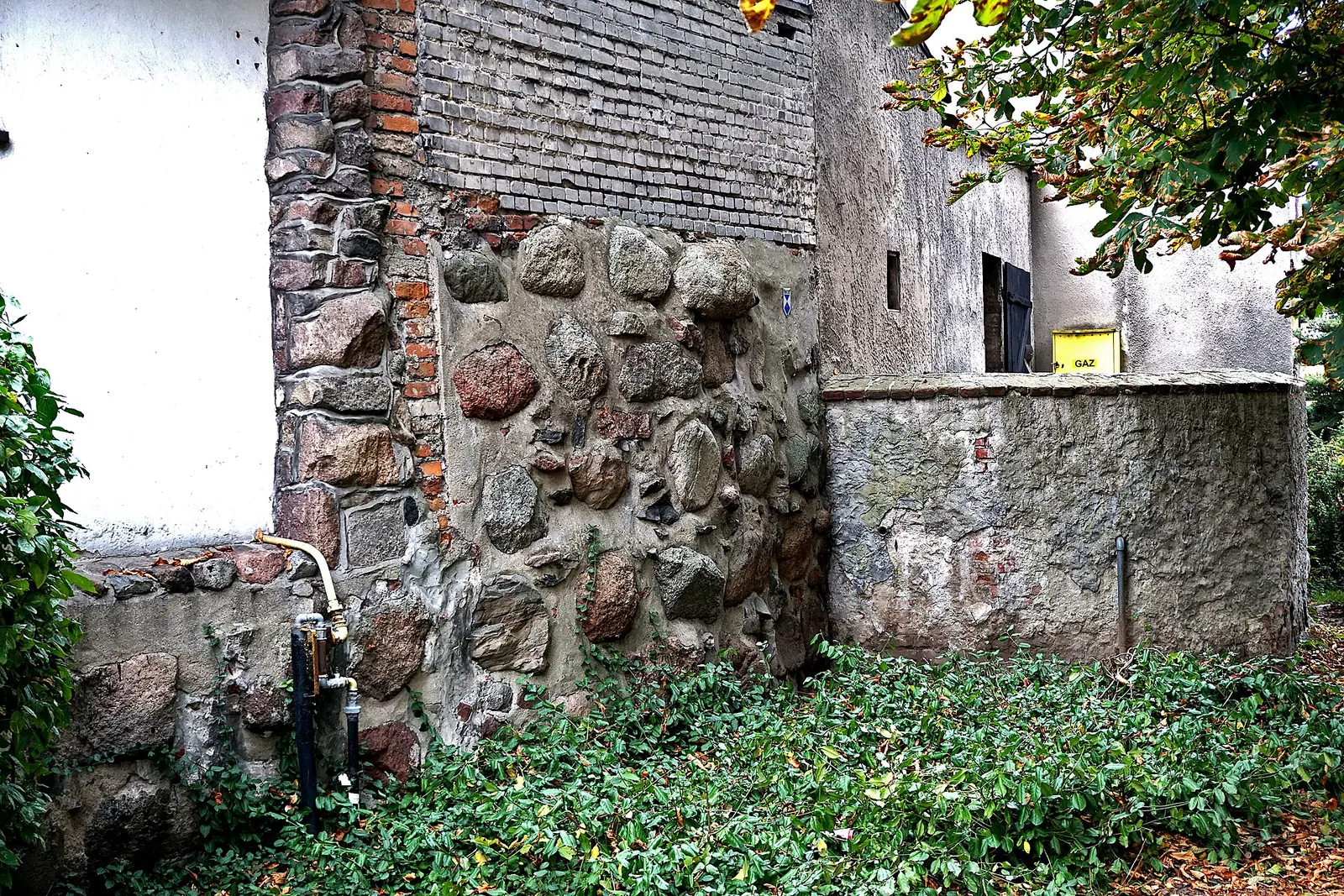 Zachowany fragment kamiennych i ceglanych murów miejskich Tucholi z zielenią u podstawy